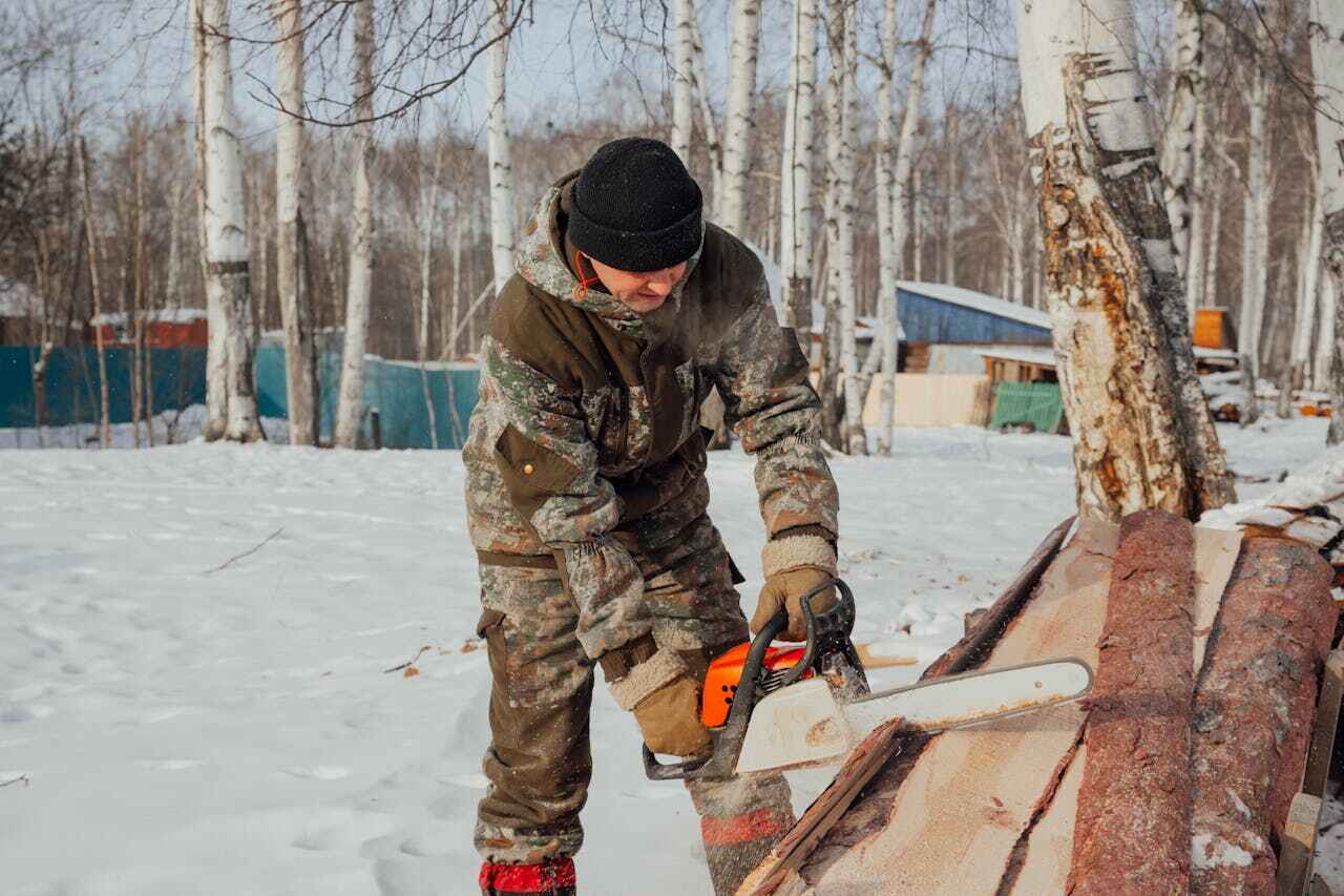 Best Tree Trimming and Pruning  in Williamsburg, PA